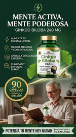 💚 Ginkgo Biloba 240 mg — System Nutriti | Memoria & Concentración
