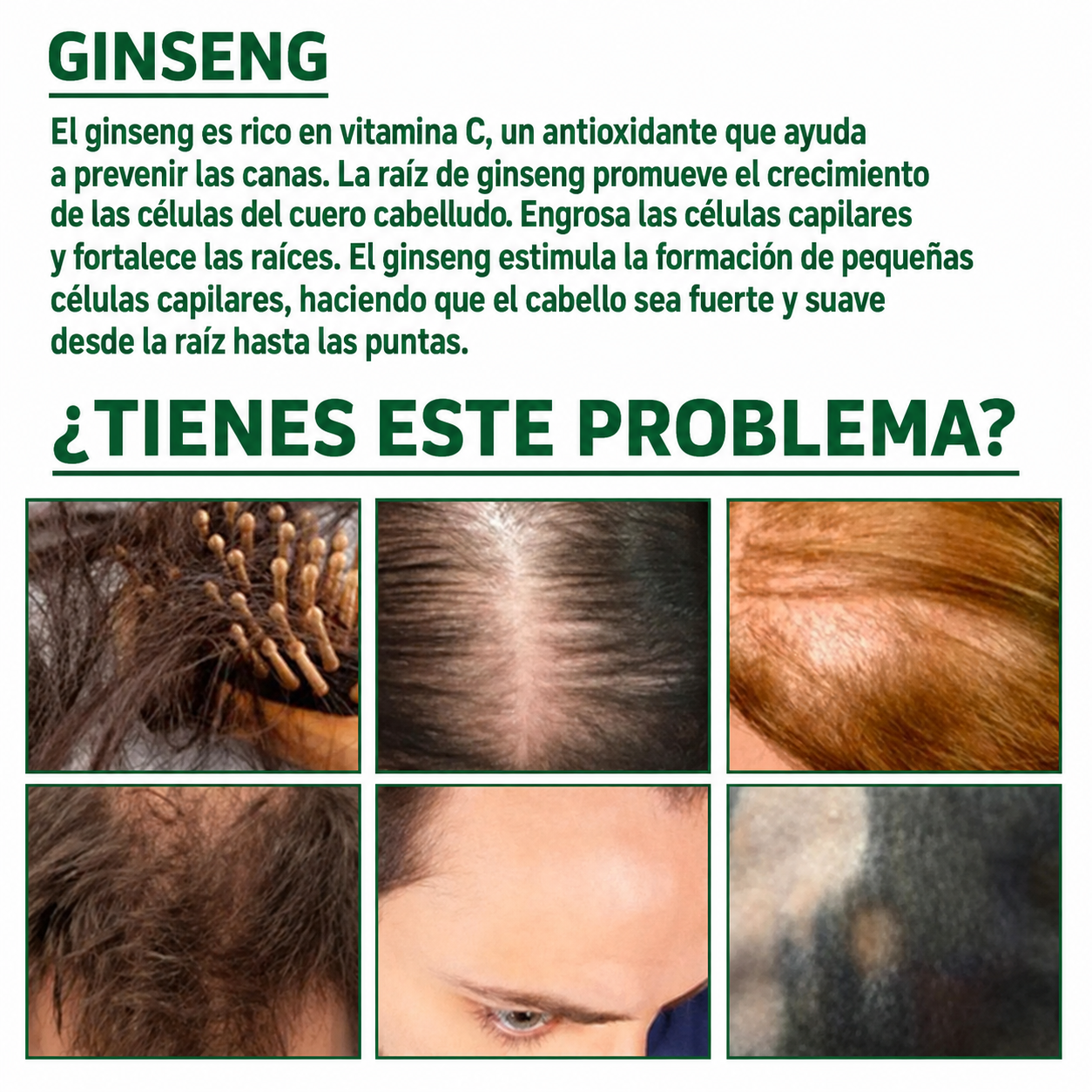 Tonico Capilar OUHOE